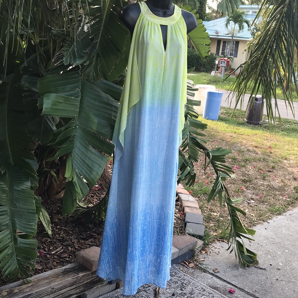 Badgley Mishka ombre chiffon halter look gown - Picture 3 of 9